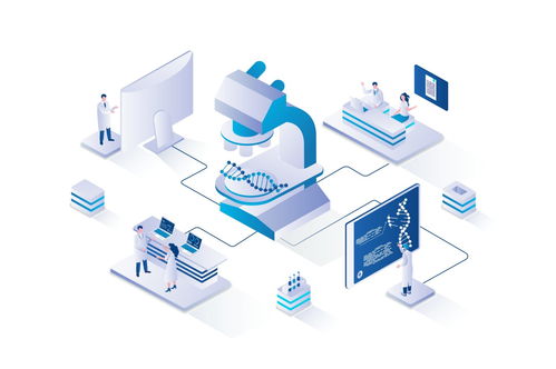 中国在关键技术领域的全球研发领先地位 机遇与挑战并存