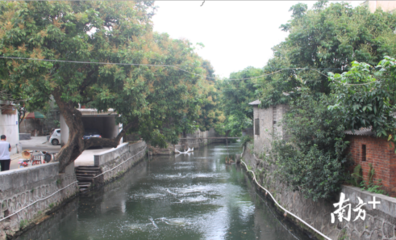 水气环境持续向好 顺德全面推进'区域环评+环境标准'改革与技术服务创新